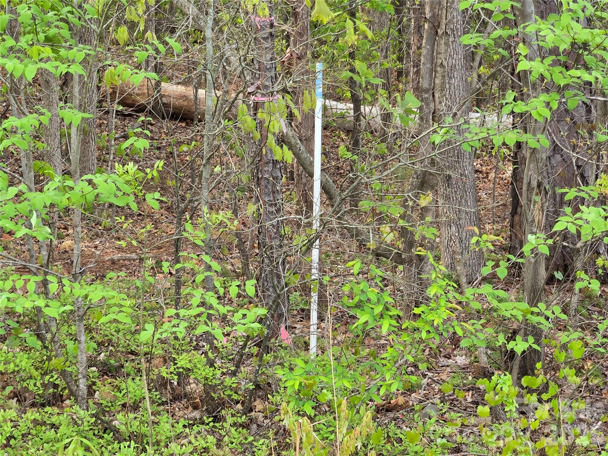 3121 Cold Springs Road S