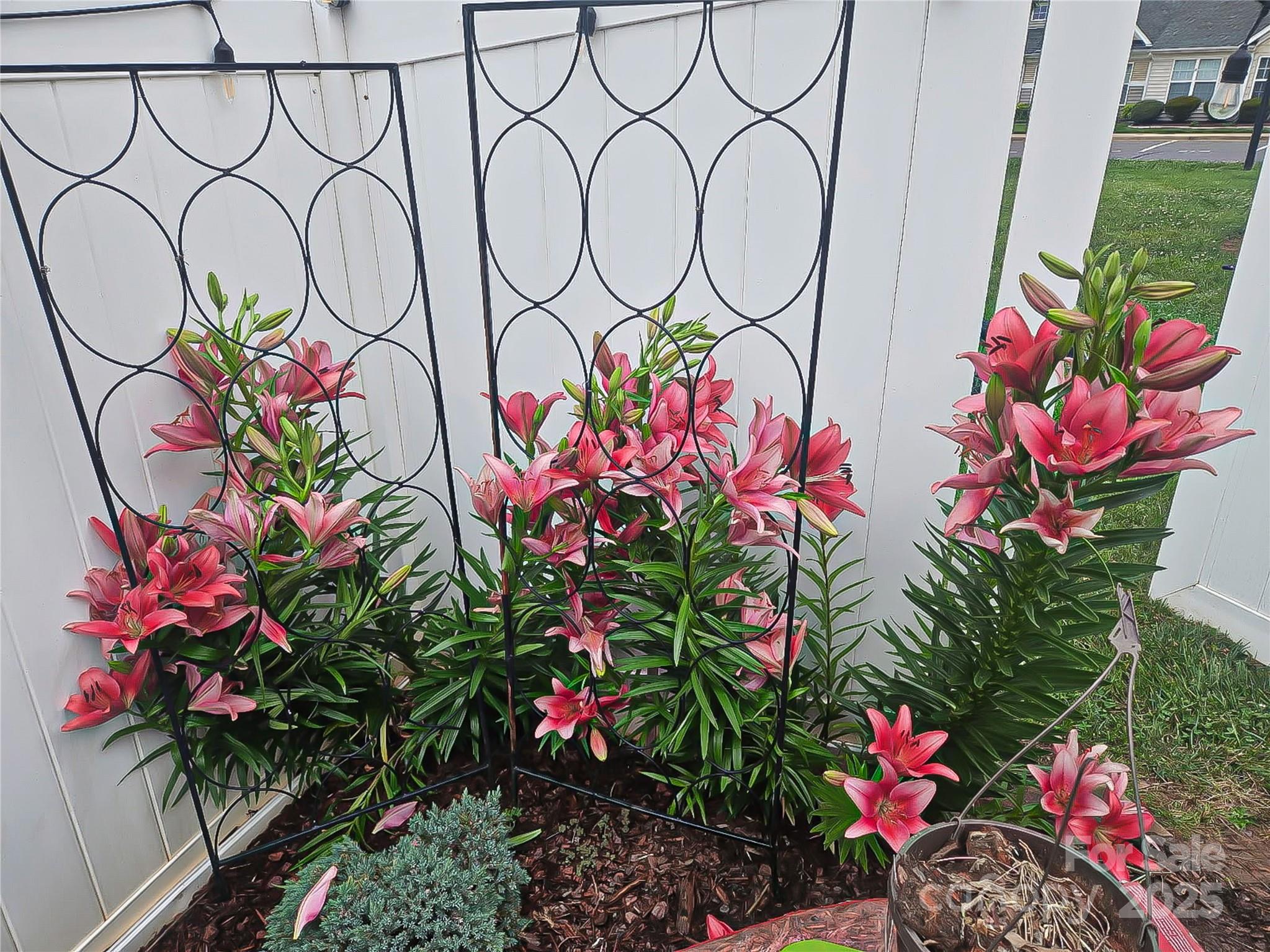 Olde Towne - Residential