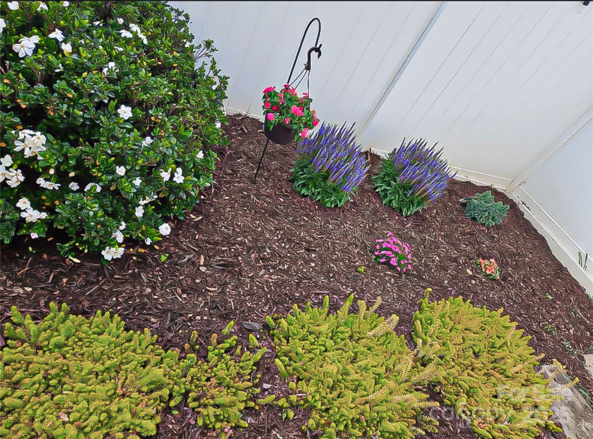 Olde Towne - Residential