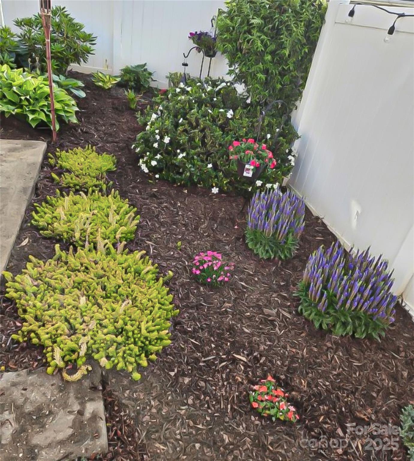 Olde Towne - Residential