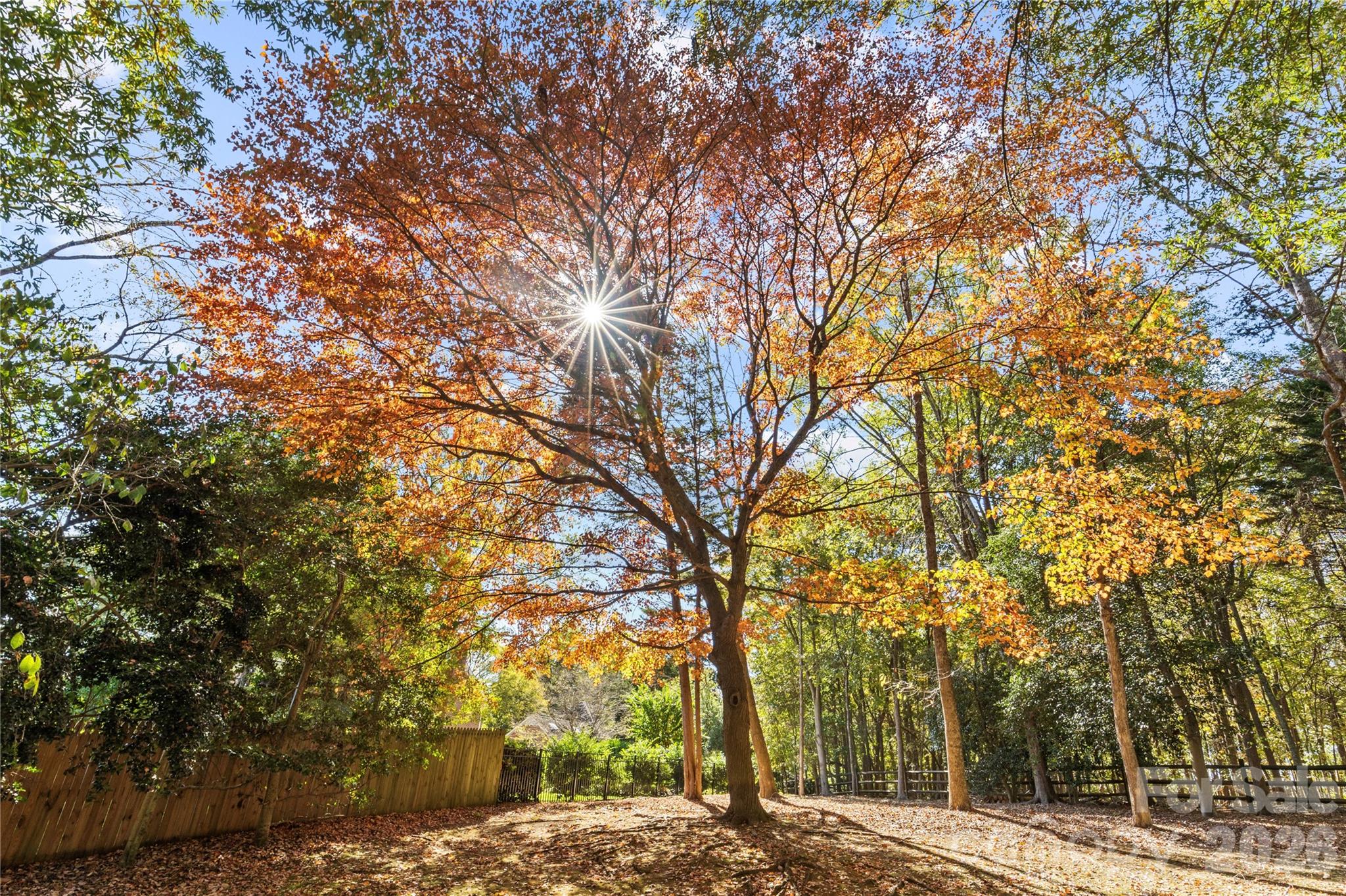 Bellemeade - Residential