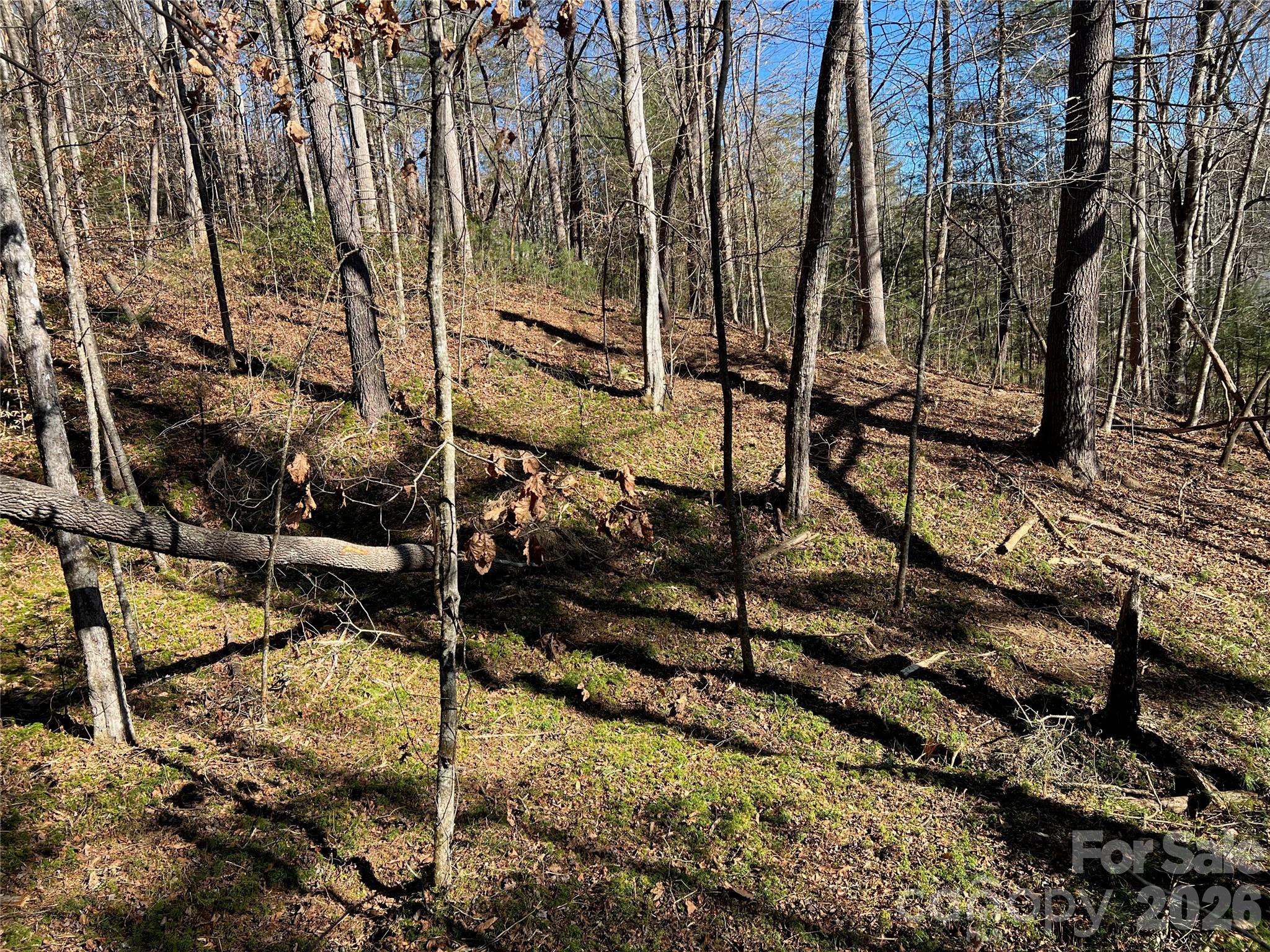 181 Falling Leaves Lane