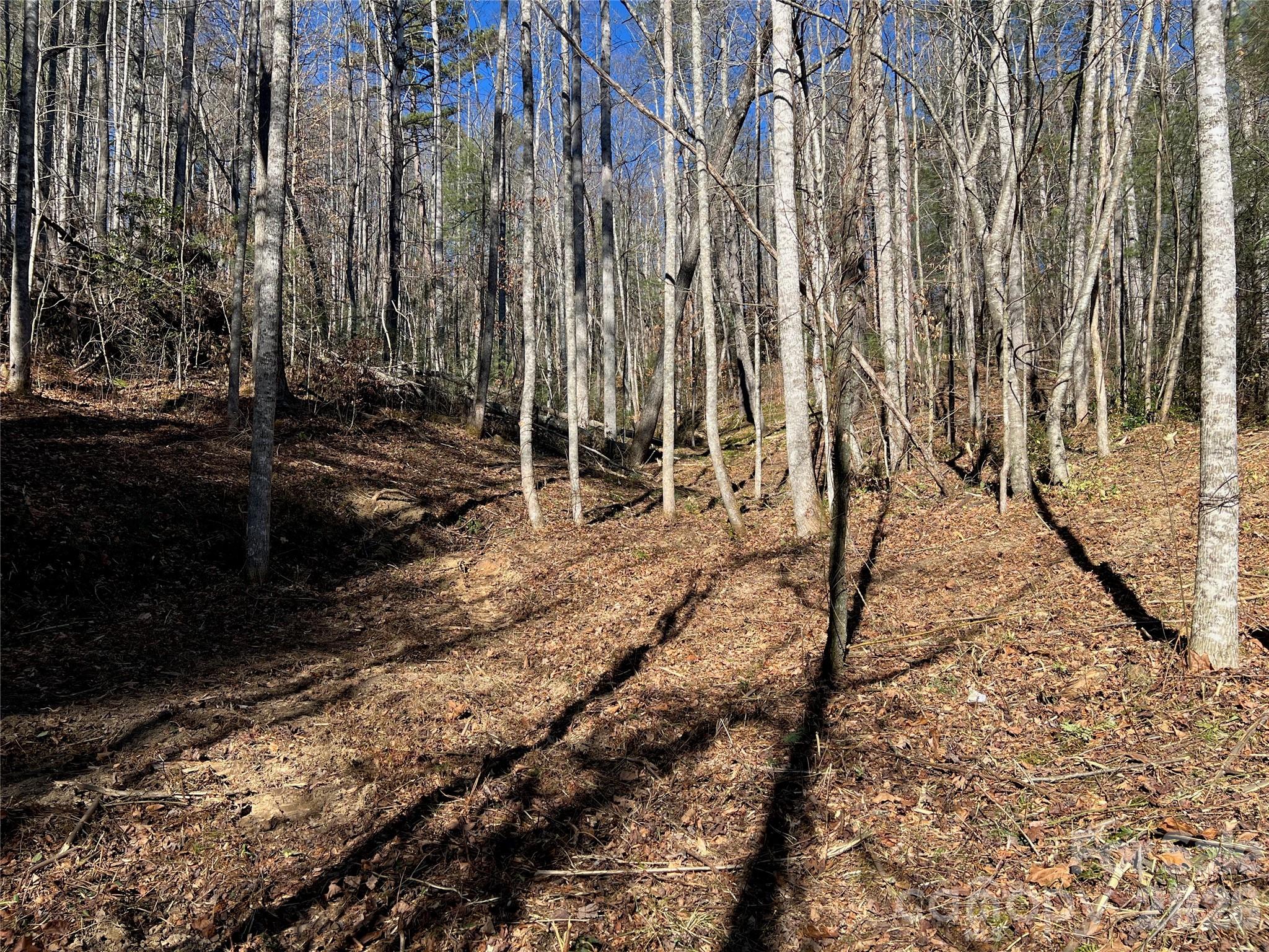 181 Falling Leaves Lane