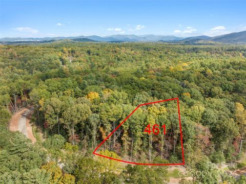 167 Emerald Necklace Drive 461 Asheville NC 28803