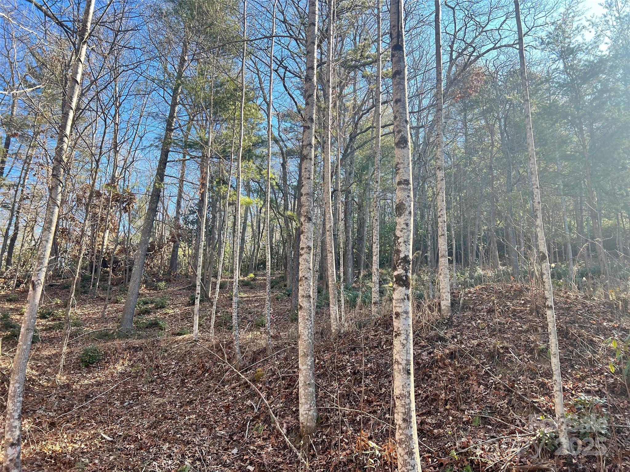 99999 Locust Knoll Lane