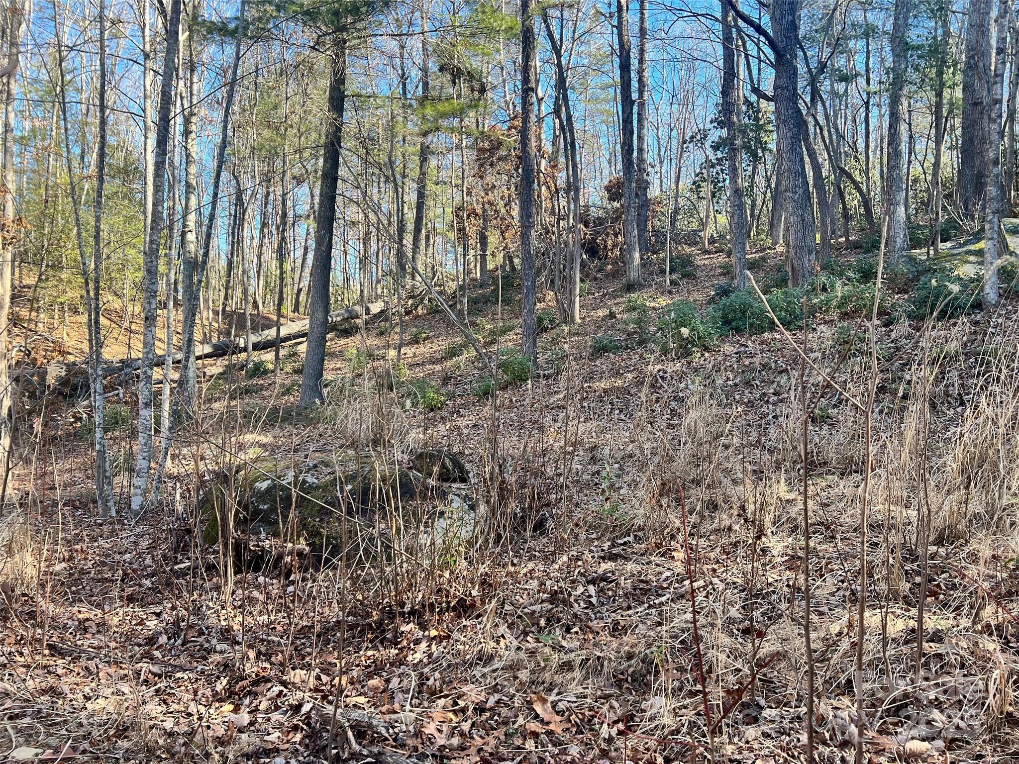 99999 Locust Knoll Lane