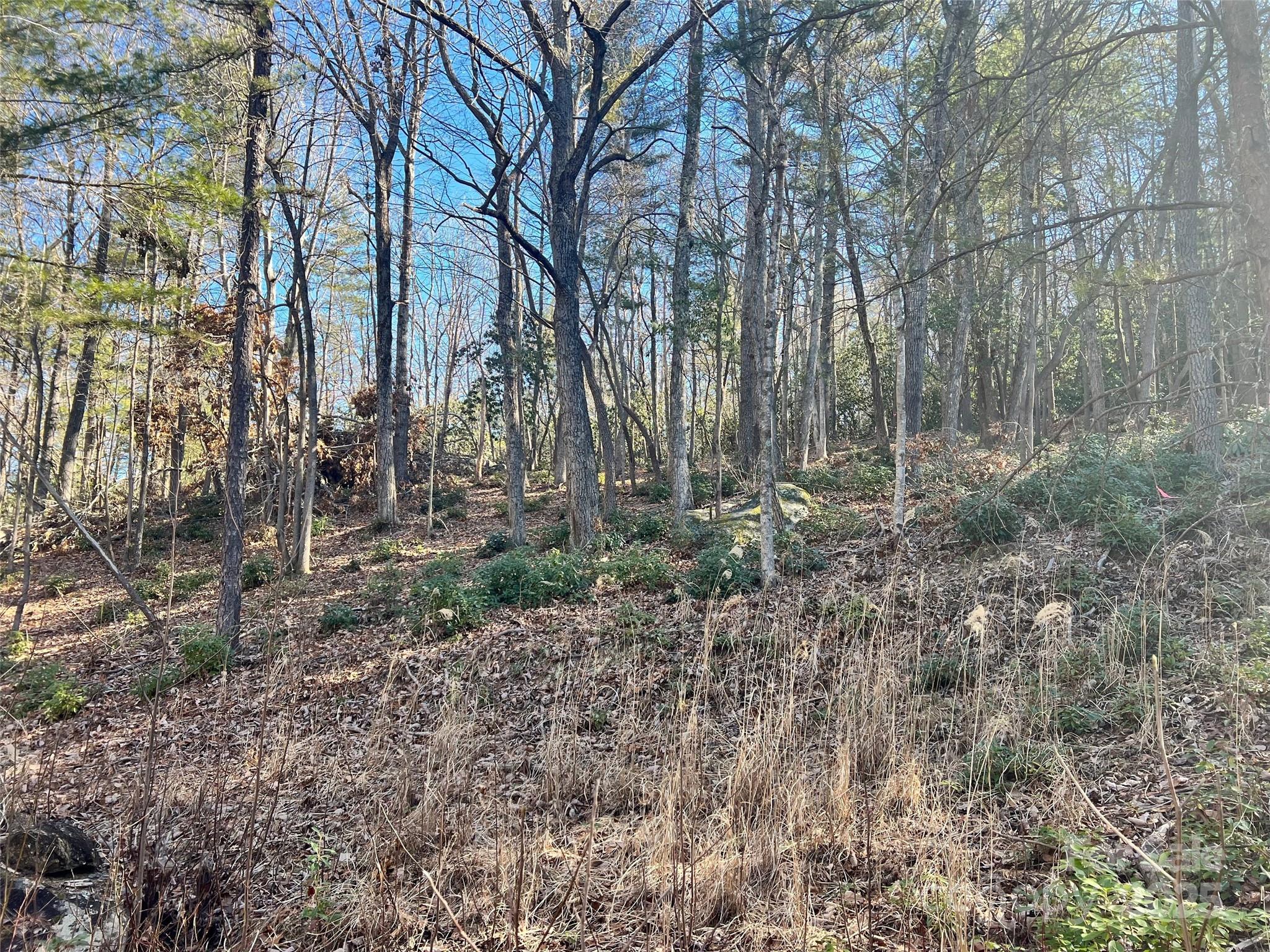 99999 Locust Knoll Lane