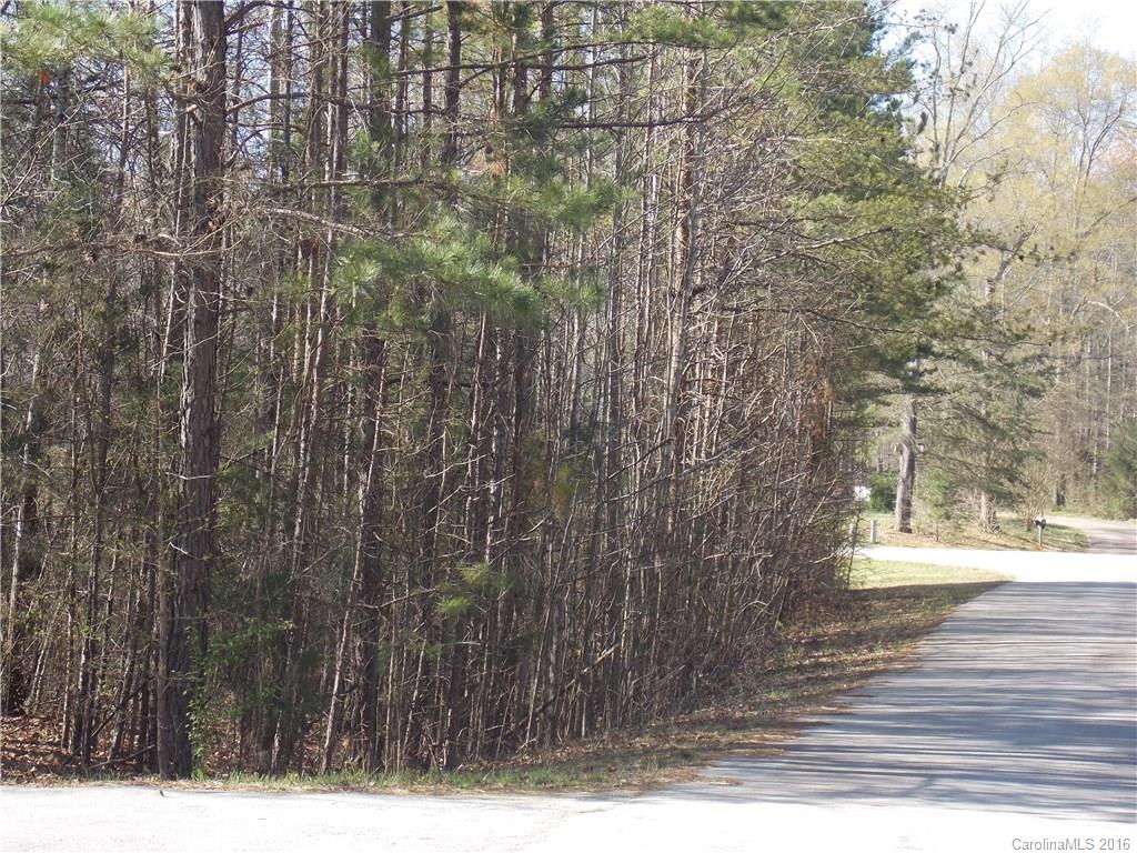 Amber Ashlyn Acres - Land