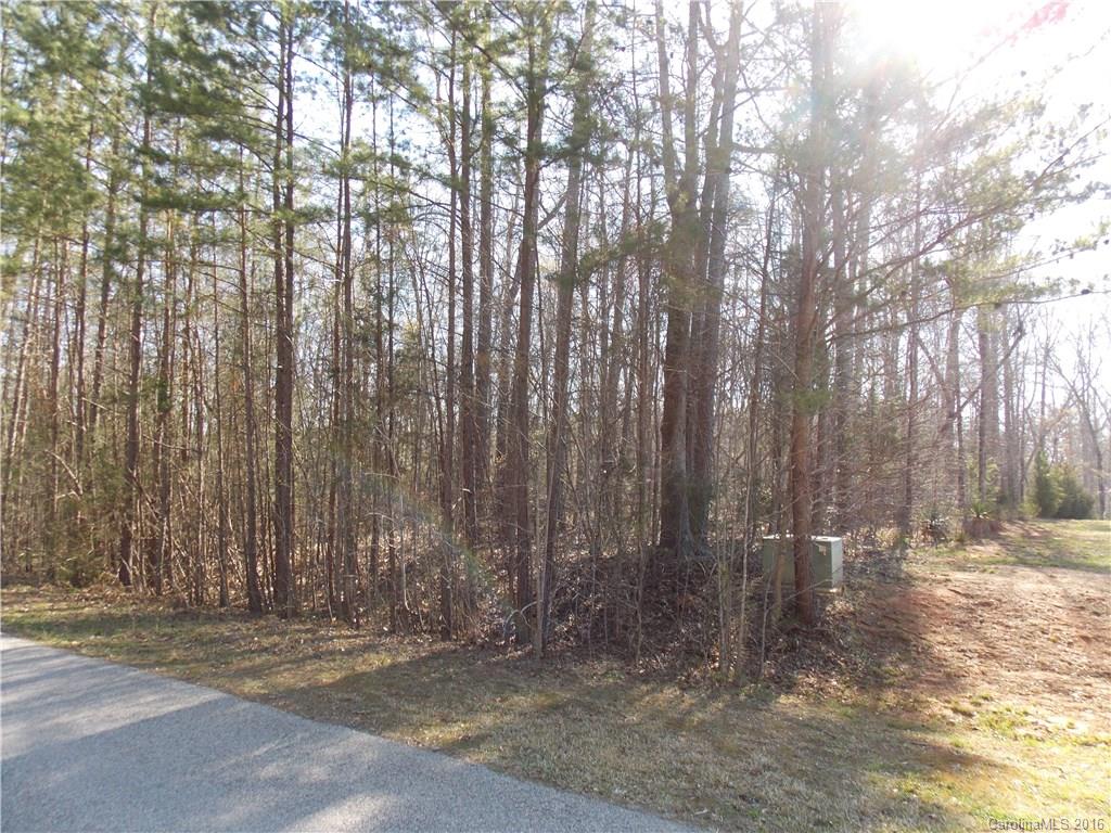 Amber Ashlyn Acres - Land