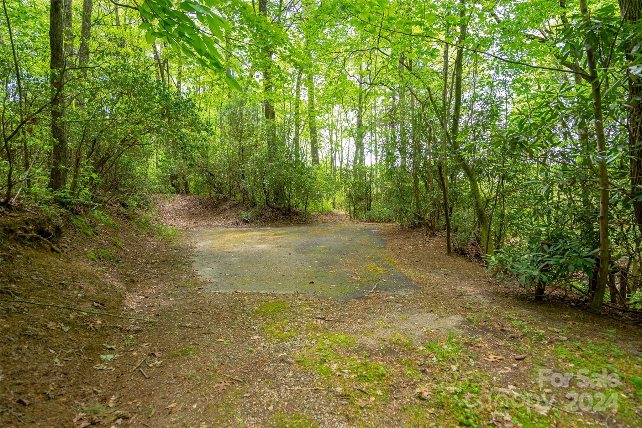 Lake Toxaway Estates - Land