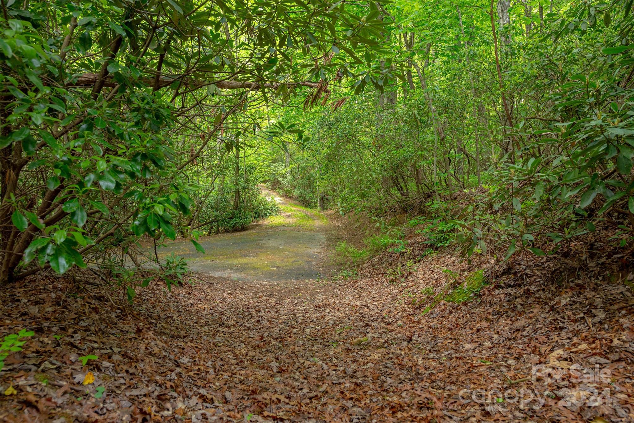 Lake Toxaway Estates - Land