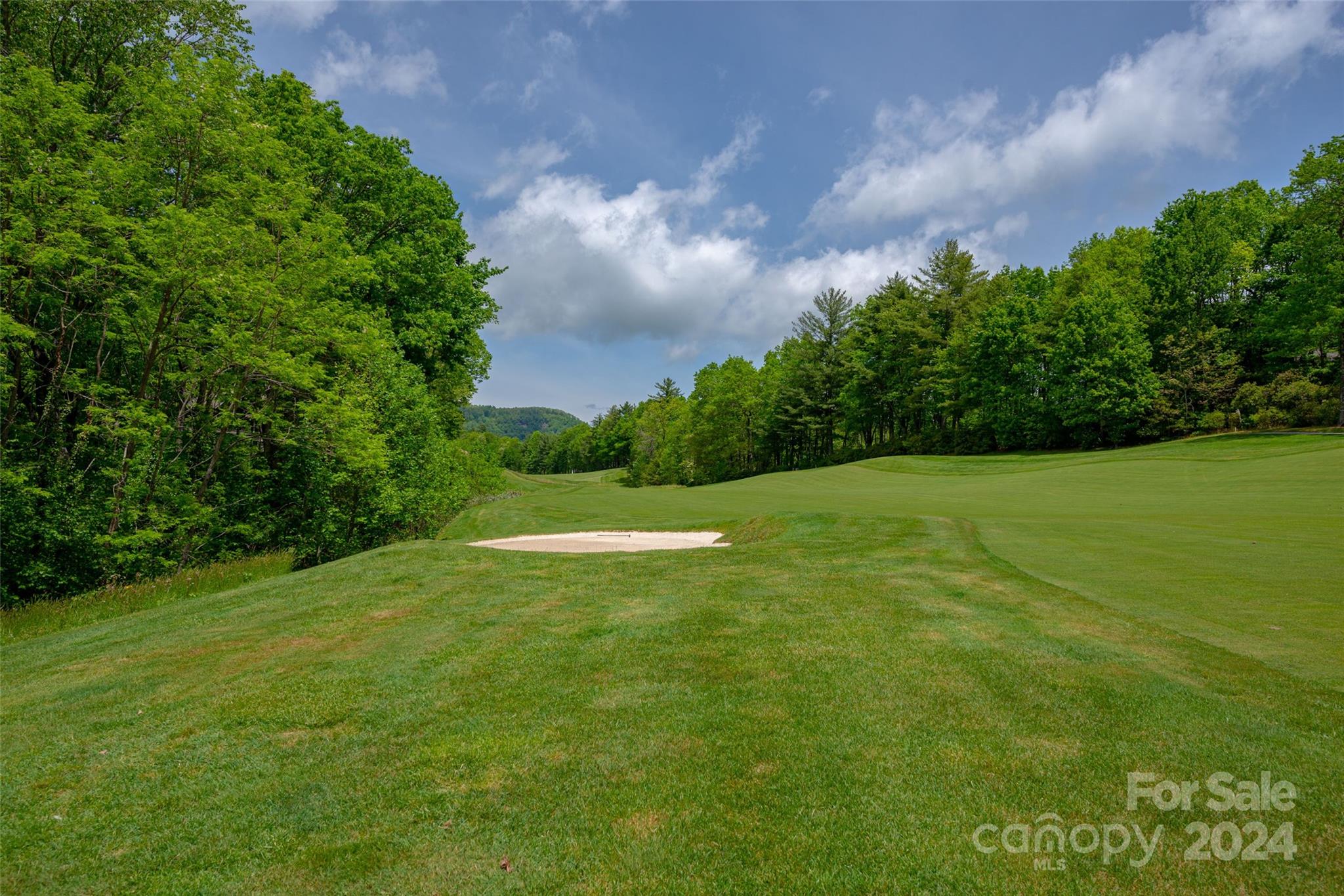 Lake Toxaway Estates - Land