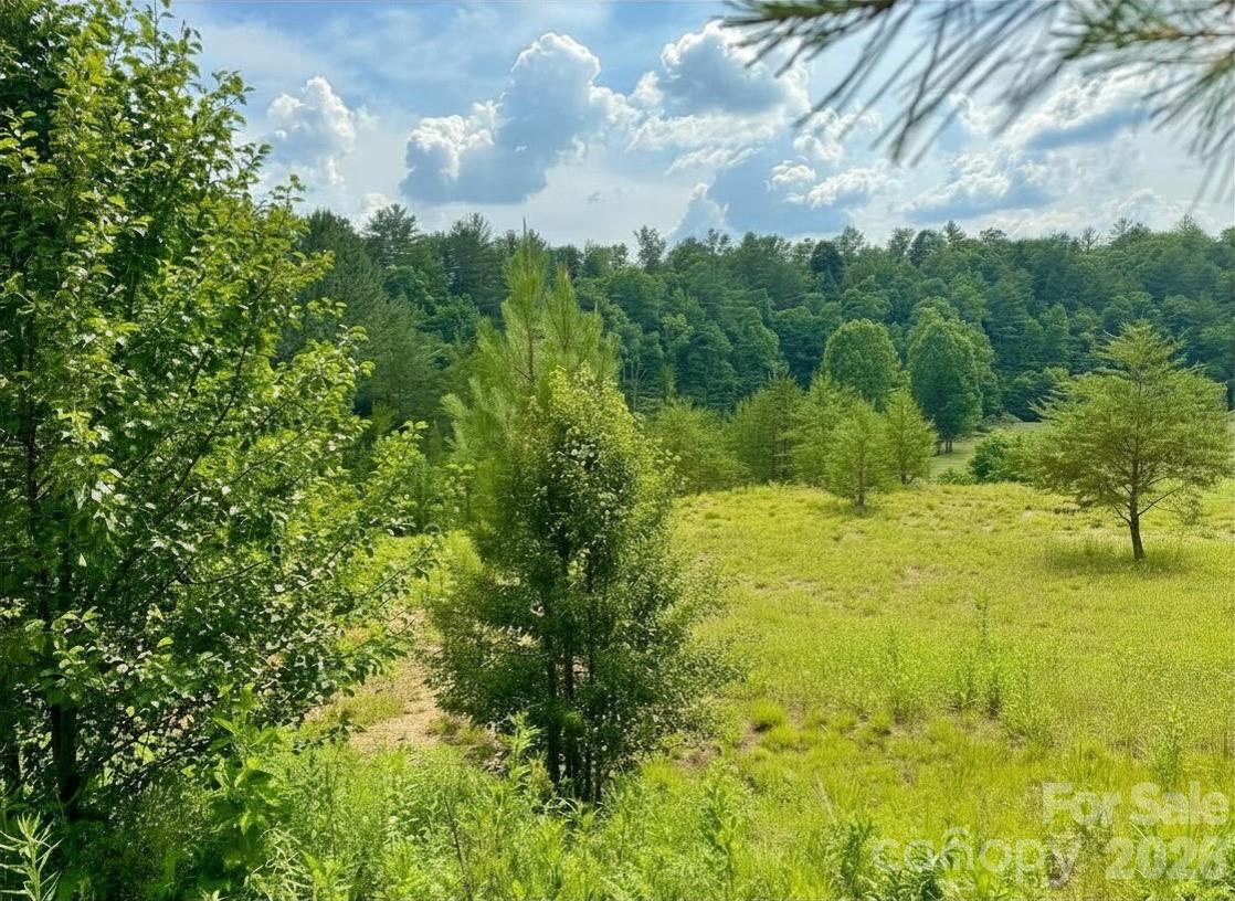 1.94 acres, Lot CB22, Cypress Trail CB22