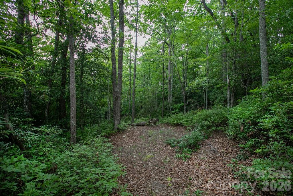 Lot 28 Big Hill Road Unit 28, Brevard, NC, 28712