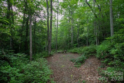 Lot 28 Big Hill Road 28 Brevard NC 28712