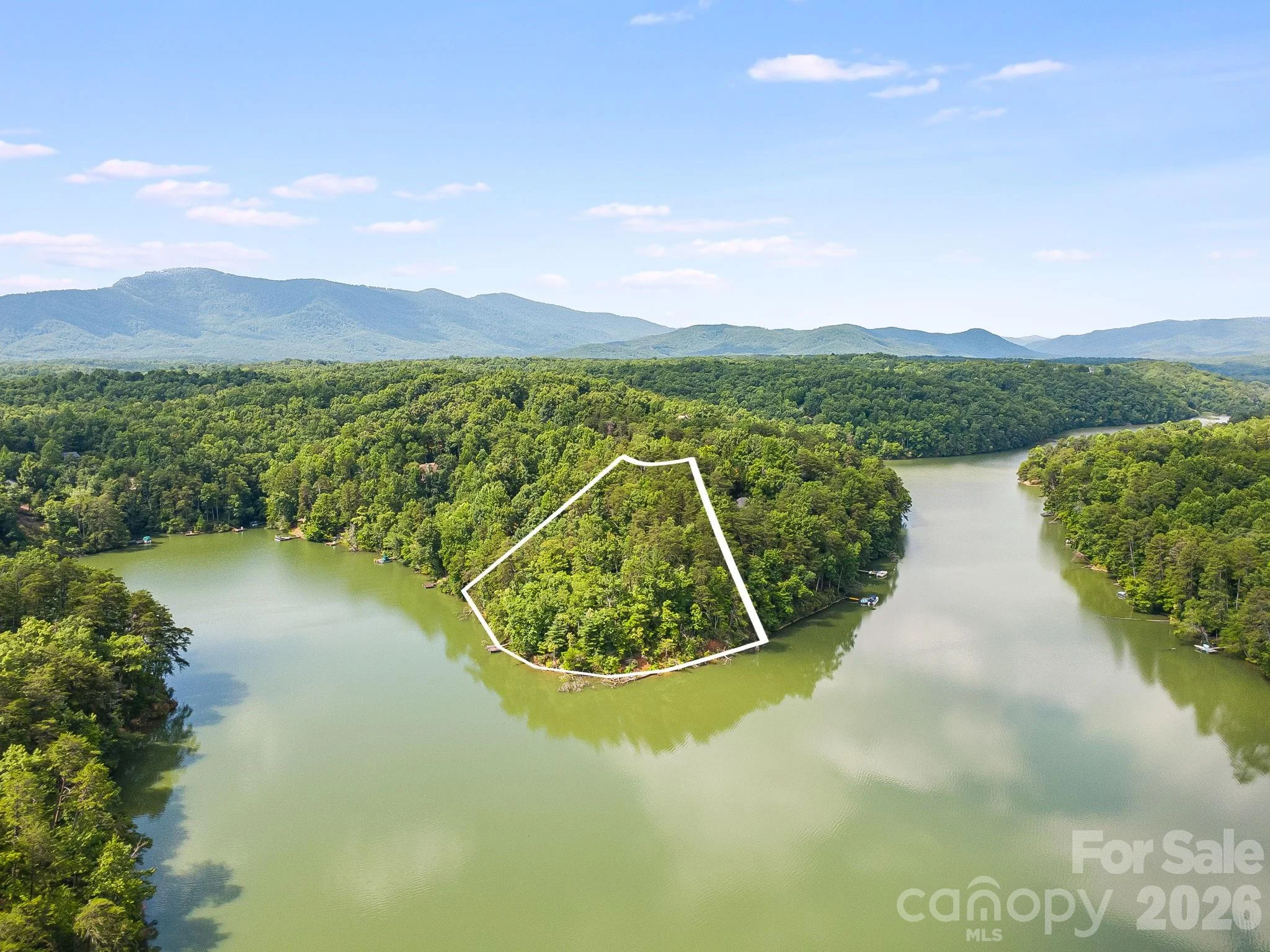 00 Canoe Drive Unit 40, Mill Spring, NC, 28756