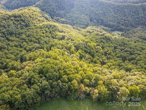 000 Crackin Chestnut Lane Sylva NC 28779