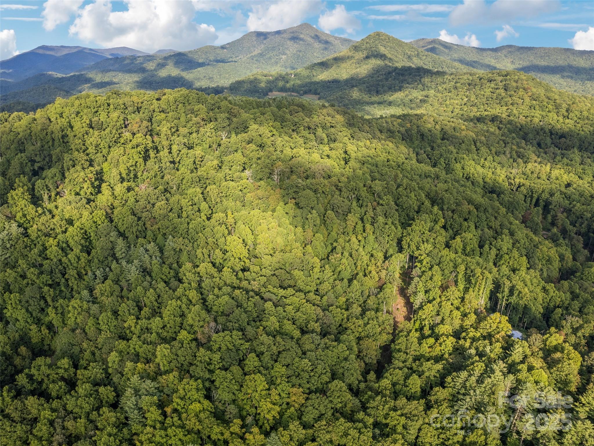 000 Crackin Chestnut Lane