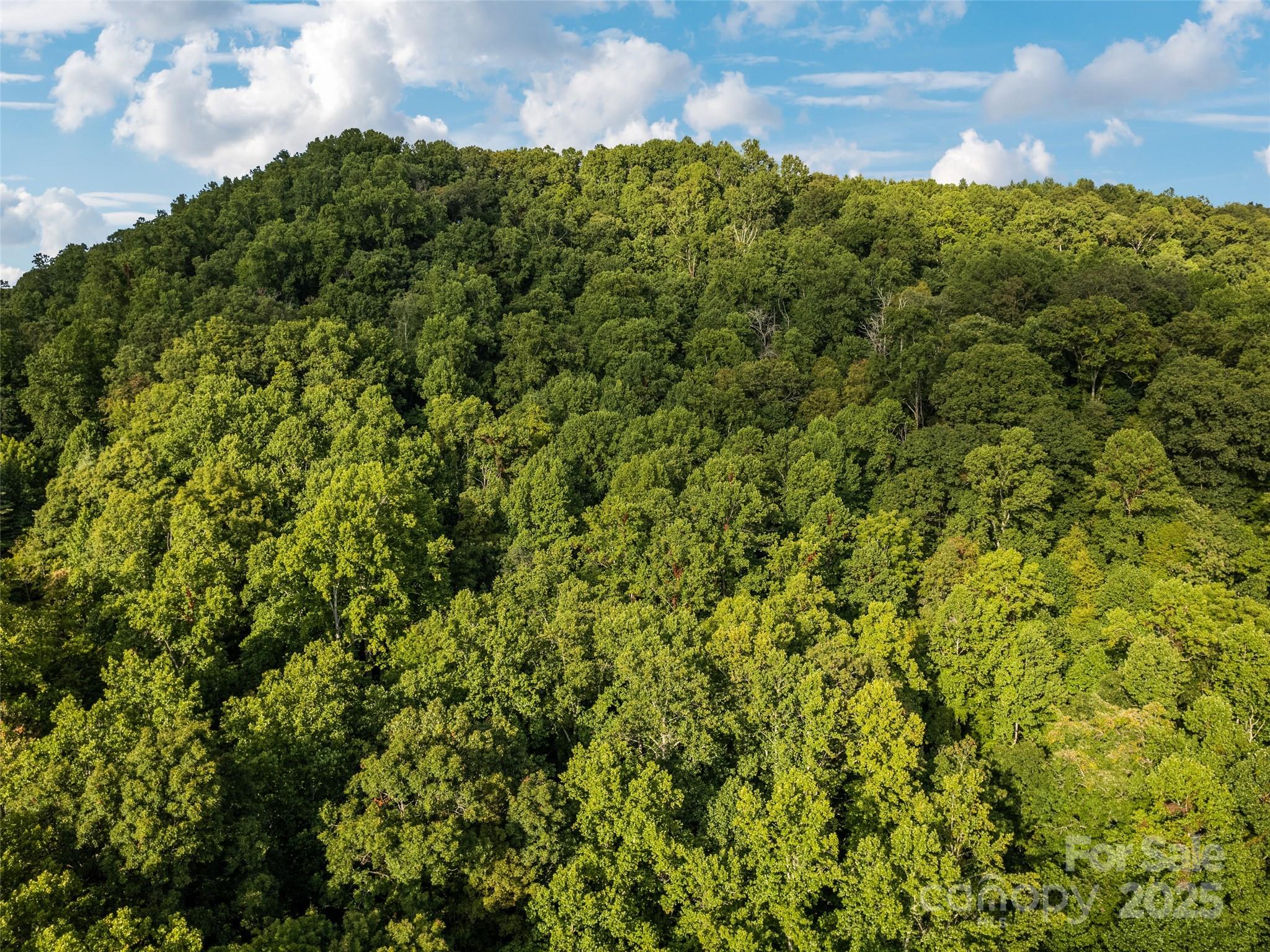 000 Crackin Chestnut Lane