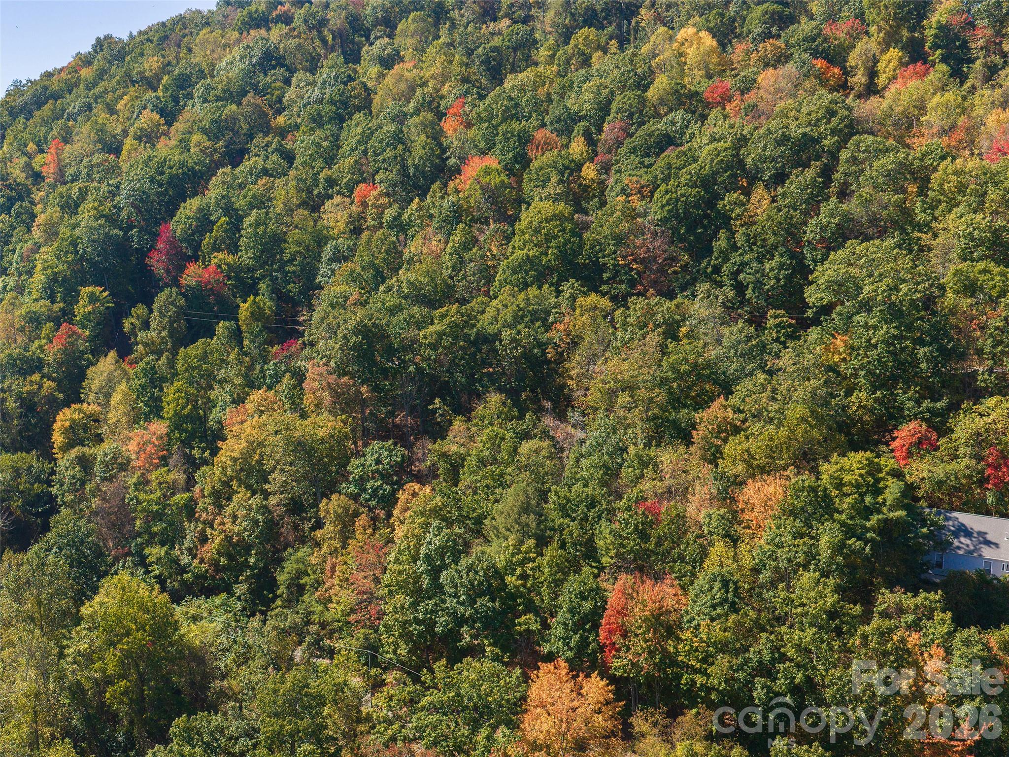 67 Gaston Mountain Road
