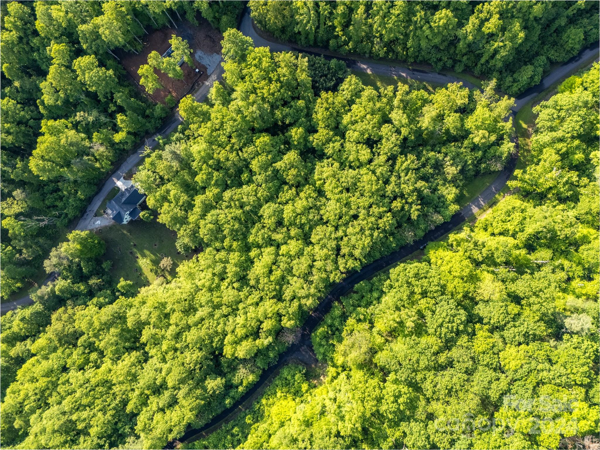 37 Ashewood Mountain Way