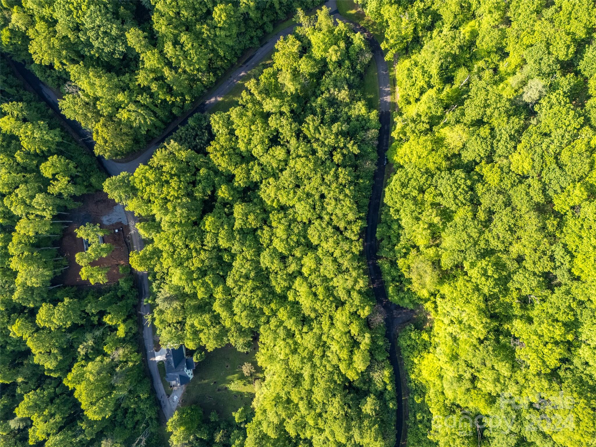 37 Ashewood Mountain Way