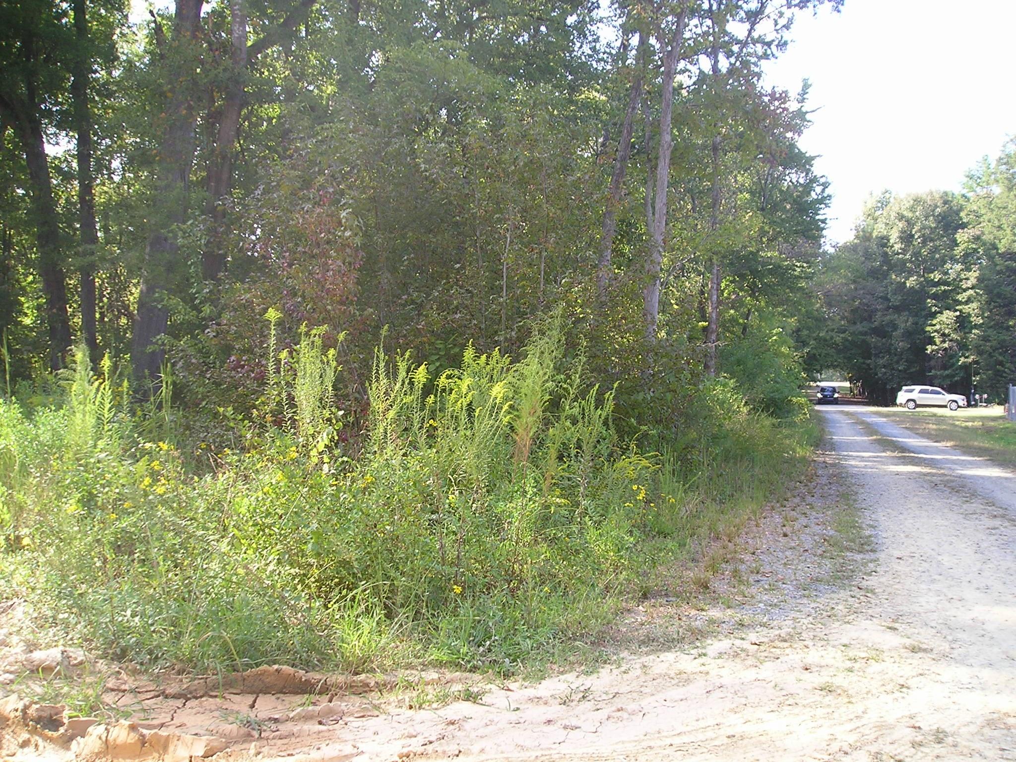 000 Woodhaven Lane 15/16