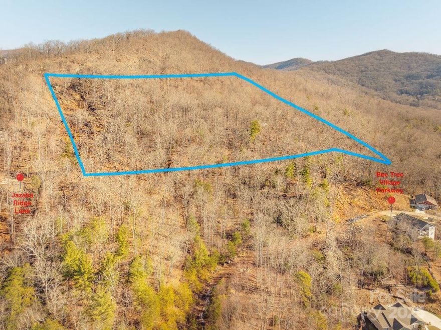 A 12 acre slice of heaven right near Swannanoa's highly coveted Bee Tree Village, without the HOA fees!  This southwest facing lot has amazing potential, with a large buildable area on the eastern side.  Views are plentiful and would be easily improved with a cleared build site.  Improvements include a recorded survey and Engineered Option Permit for septic and well (expires March 2026). Large enough for privacy, yet close enough to all that Asheville and Black Mountain has to offer, this lot has everything you need!
