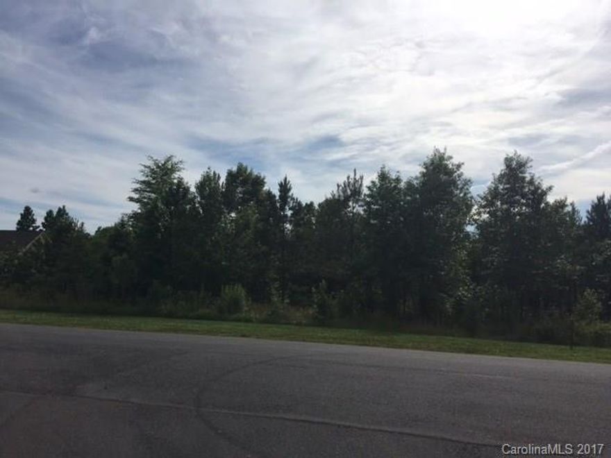 Great size lot in the desired Catawba Shores Estates neighborhood.  Lot boasts 1.12 acres. mature trees, and close proximity to Catawba river. Build your dream home! Only 10 minutes from shopping and close to I-77.