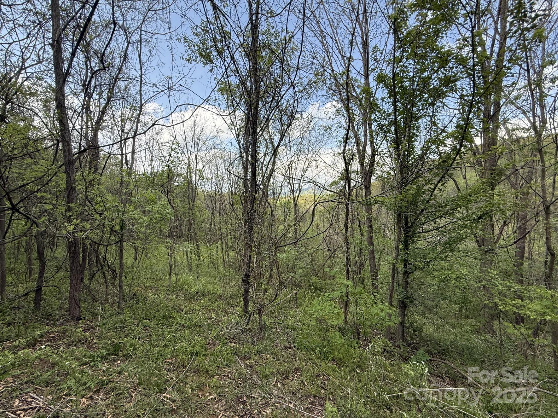 284 Northridge Drive