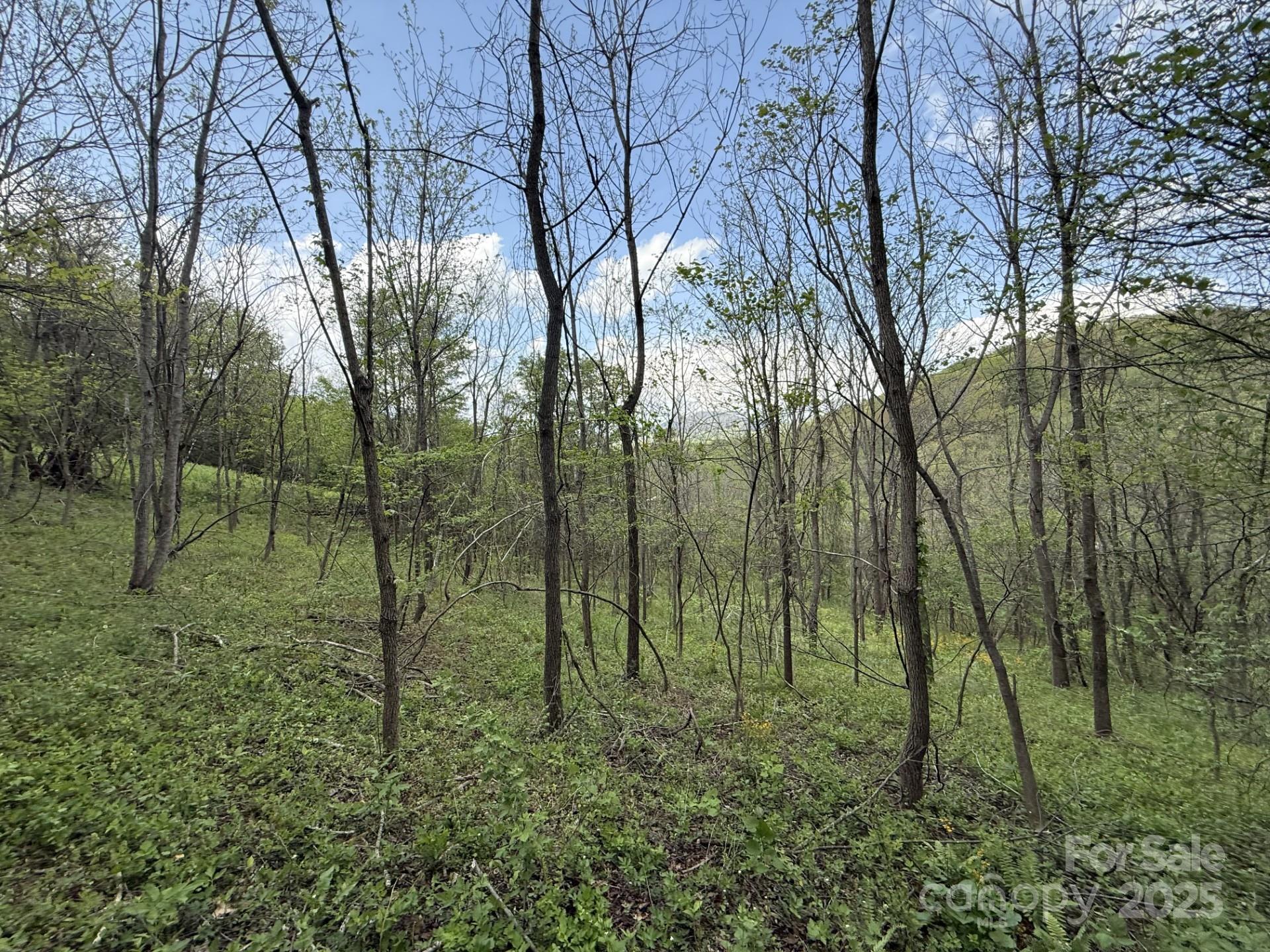 284 Northridge Drive