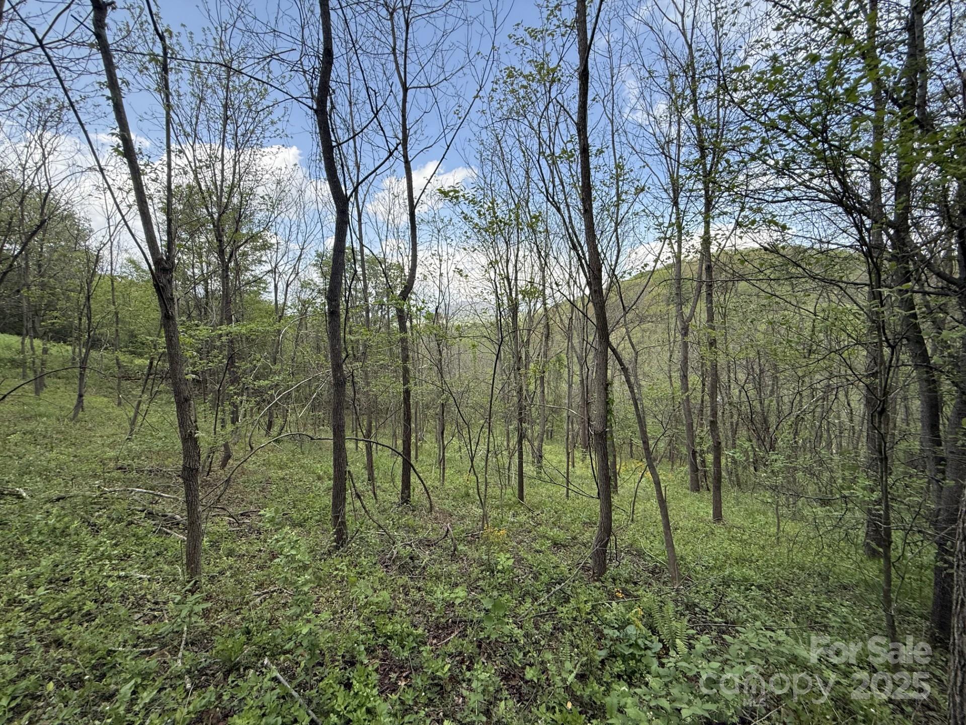 284 Northridge Drive