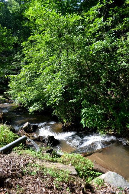 Turkey Cove - Residential