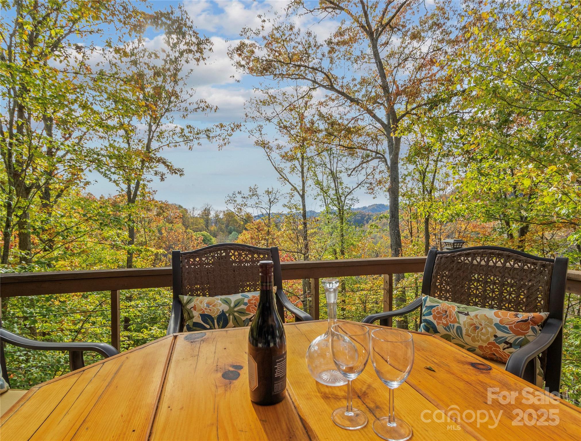 351 Buck Springs Run