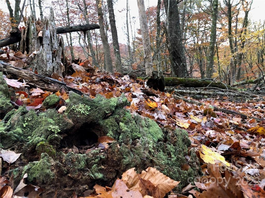 Wolf Laurel Heights - Land