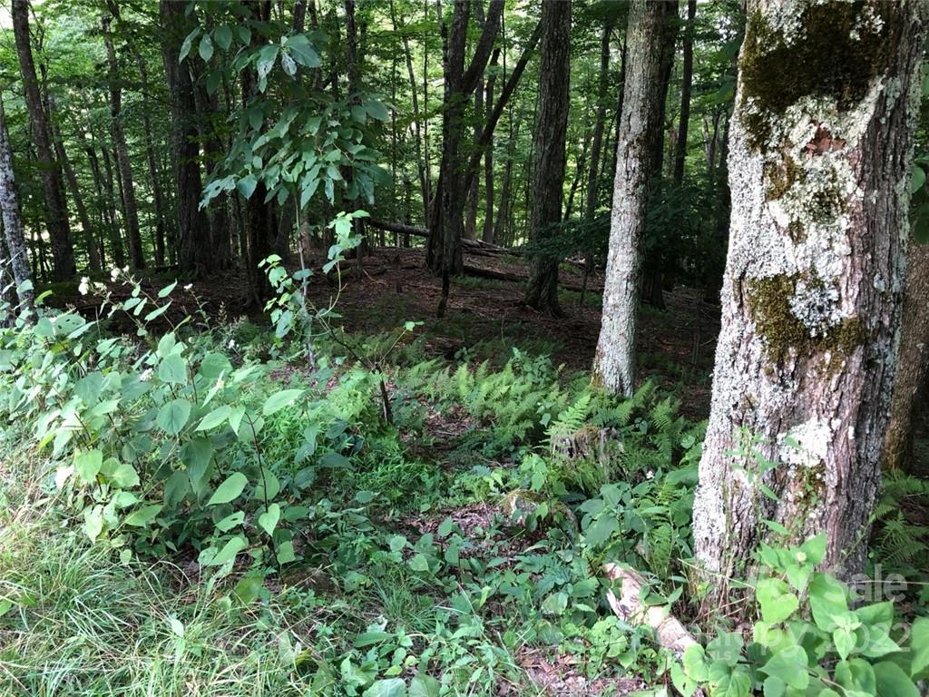 Wolf Laurel Heights - Land