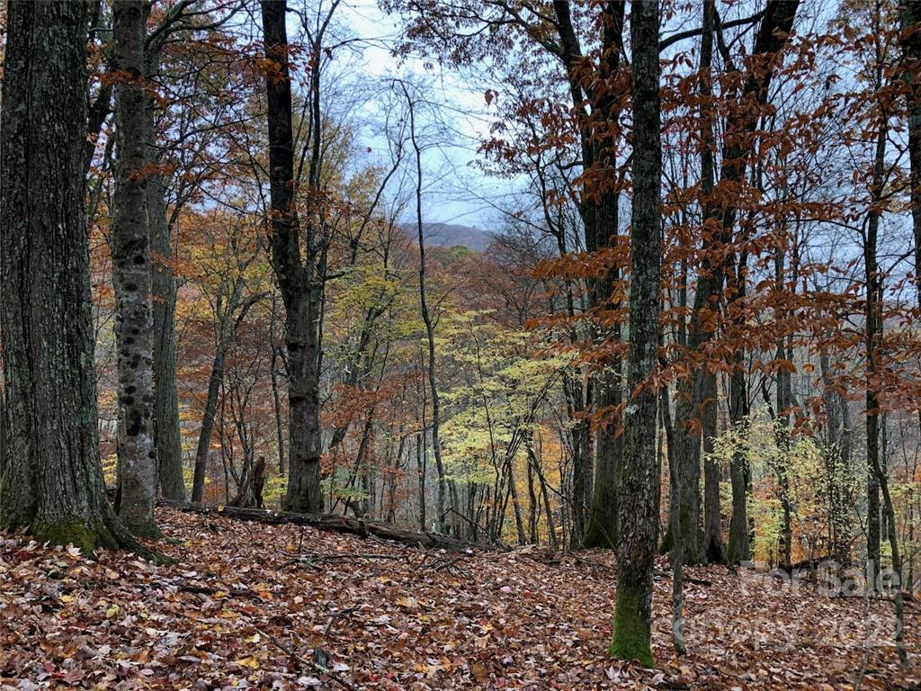 Wolf Laurel Heights - Land