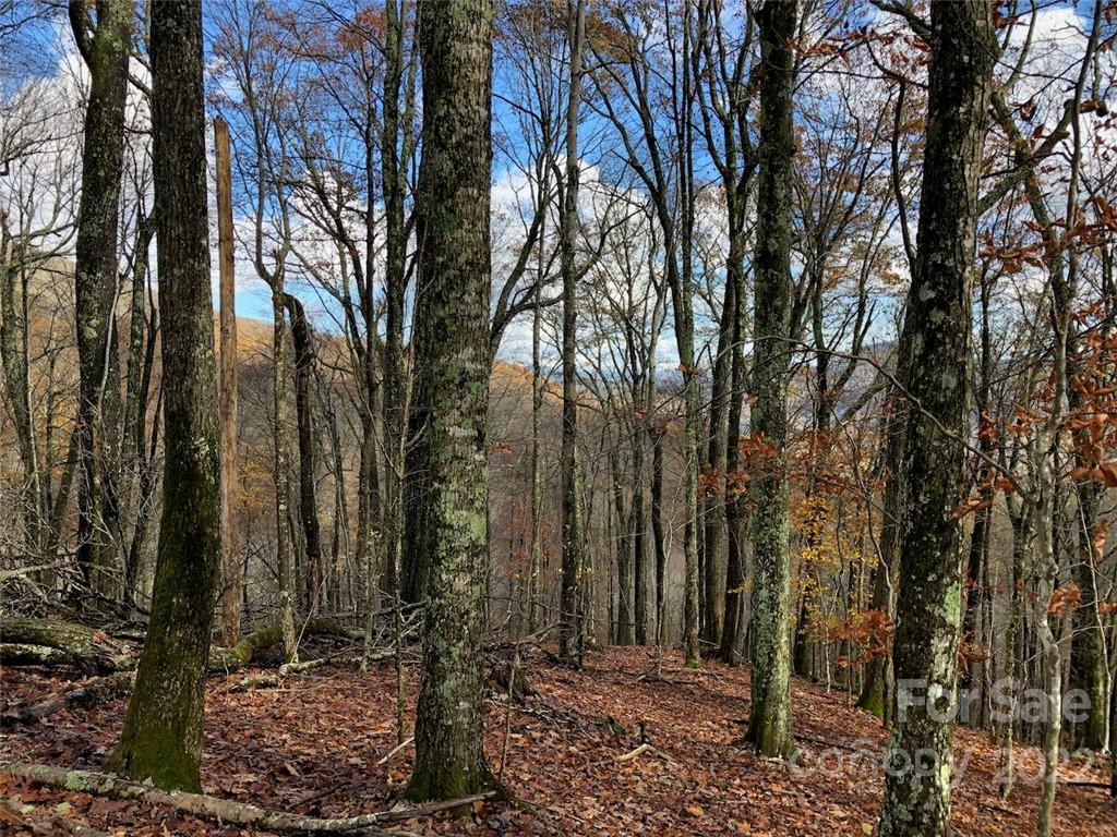 Wolf Laurel Heights - Land