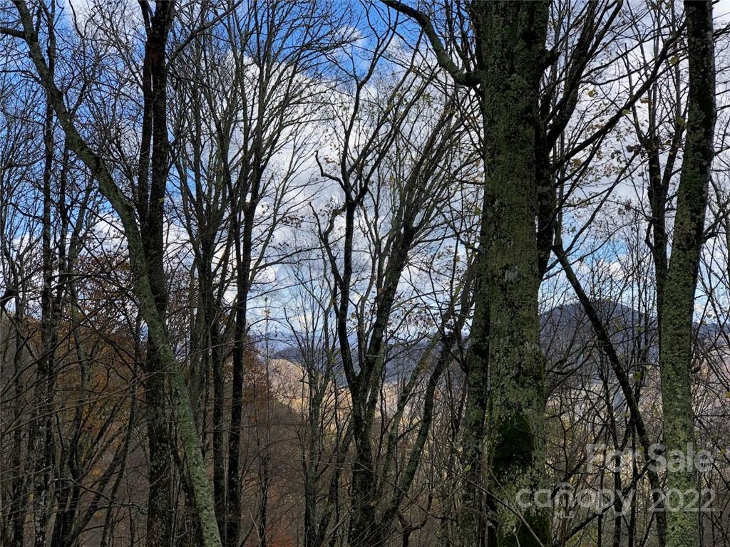 Wolf Laurel Heights - Land