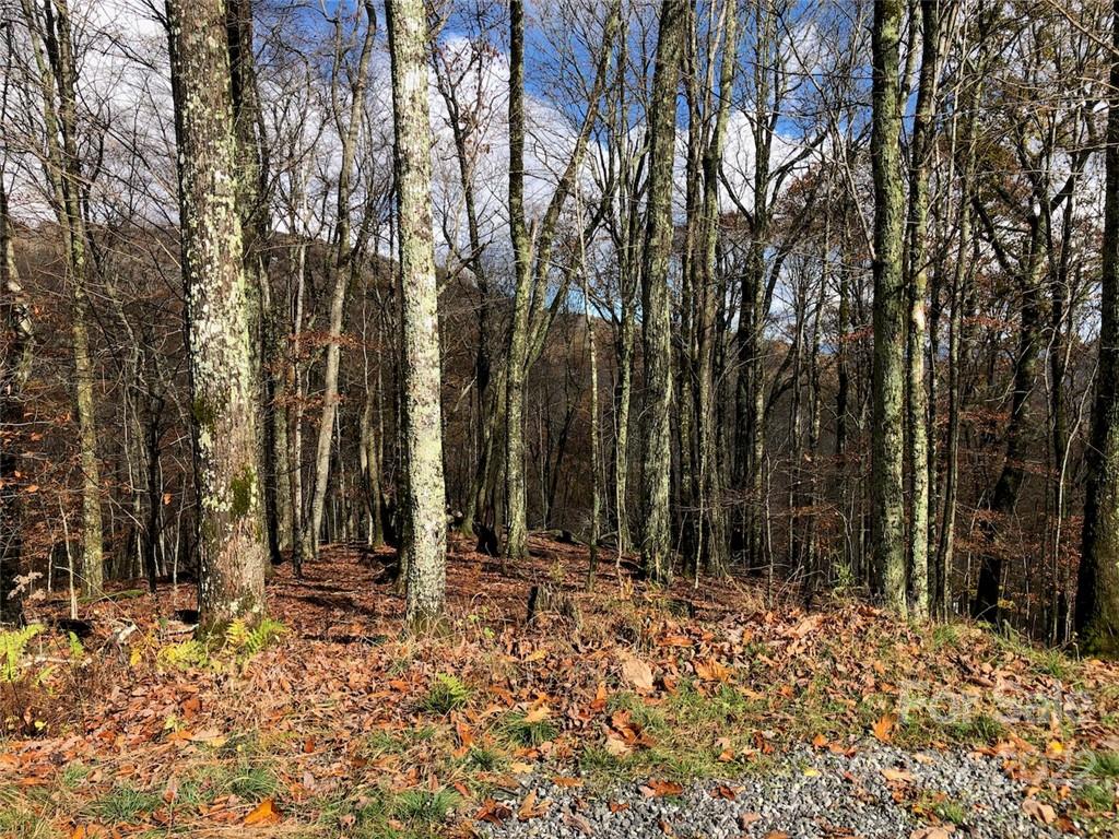 Wolf Laurel Heights - Land