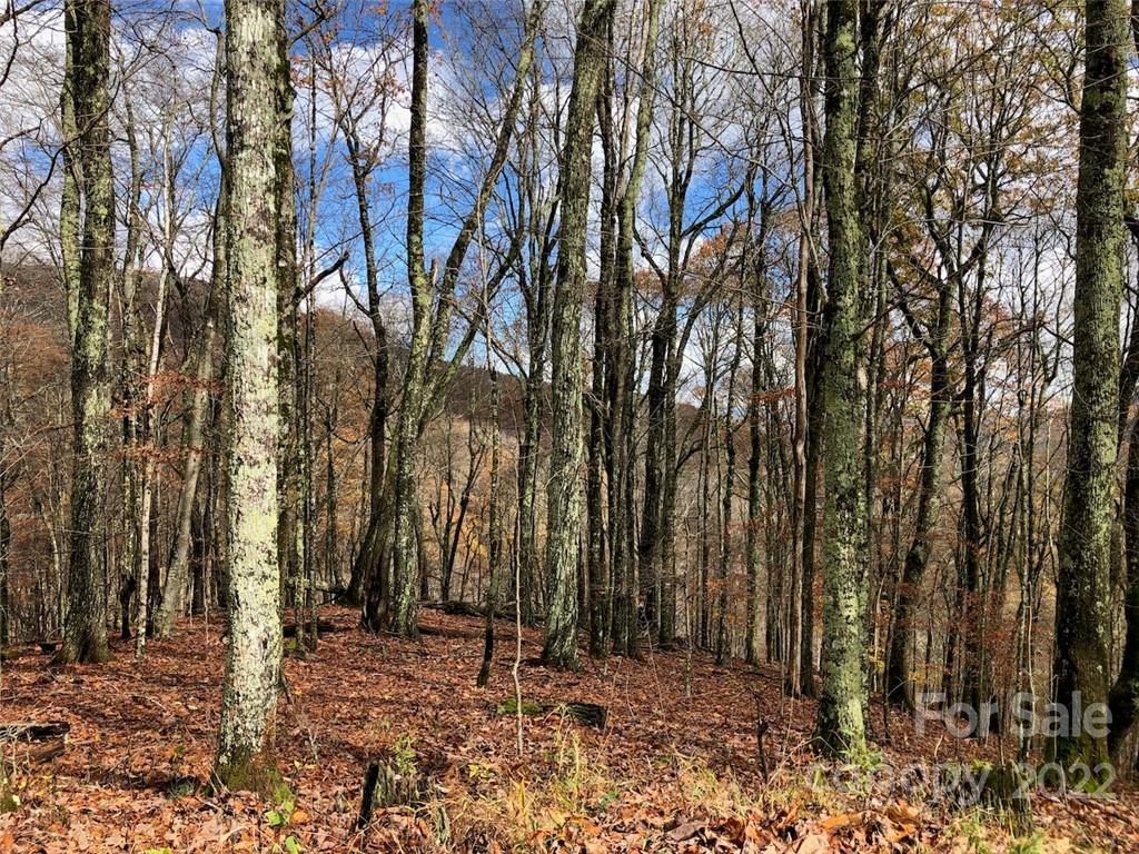 Wolf Laurel Heights - Land