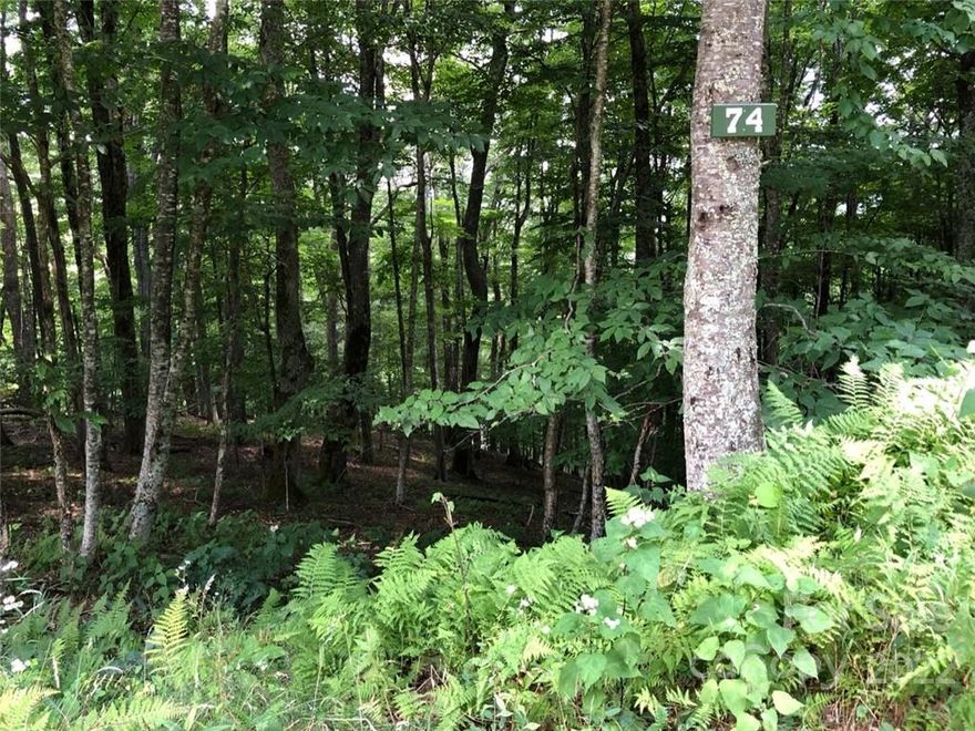 Best lot under $10,000 in Wolf Laurel! Enjoy cool summer days and gorgeous fall colors at 4,400 foot elevation on this superb lot in Wolf Laurel. Easy access to the gently sloped building site with 270 degree winter views, including long range views to the east and closer mountain views to the south and north. Potential to open up year round views. Well maintained easy driving gravel road, less than 1/2 mile to the paved road. Skiing, golf, tennis, swimming, fishing all available in Wolf Laurel if you chose to purchase memberships, or just enjoy the free hiking, beautiful scenery and mountain breezes. 40 minutes to downtown Asheville. Public water available with tap fee, or drill your own well. Must be accompanied by an agent to get through the security gate. Agent is son of and POA for seller