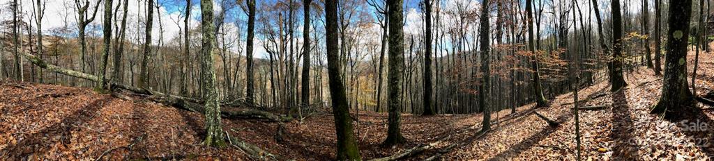 Wolf Laurel Heights - Land