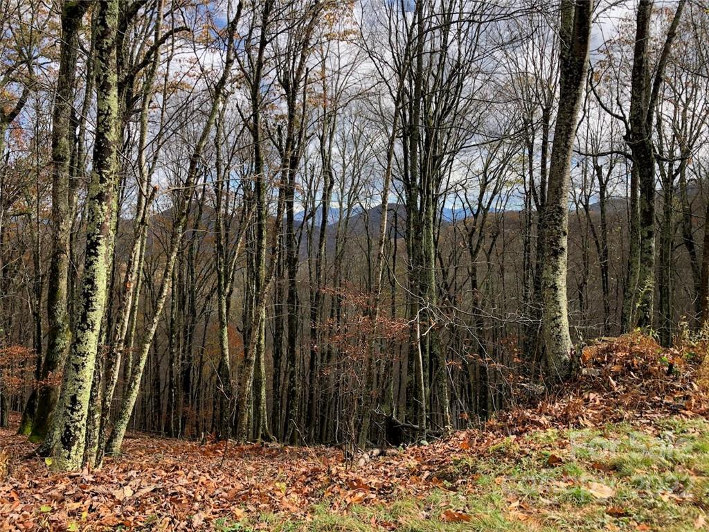 Wolf Laurel Heights - Land