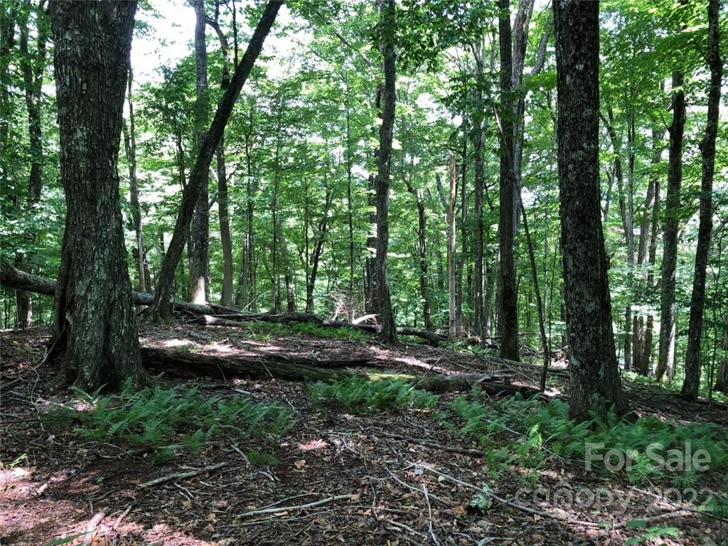 Wolf Laurel Heights - Land