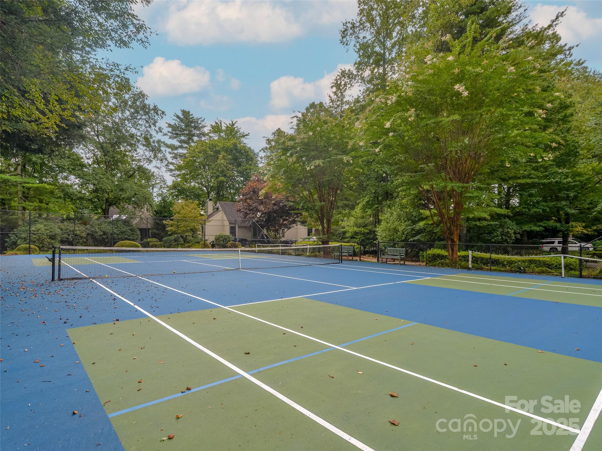 Lake Toxaway Estates - Residential