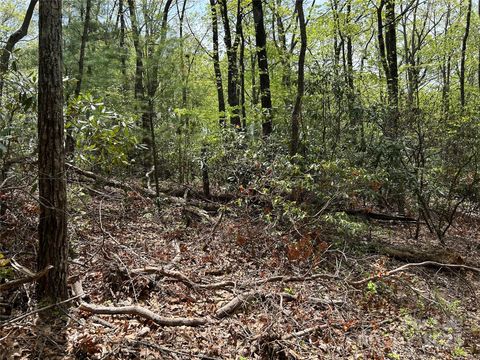 000 John Delk Road 5 Hendersonville NC 28792