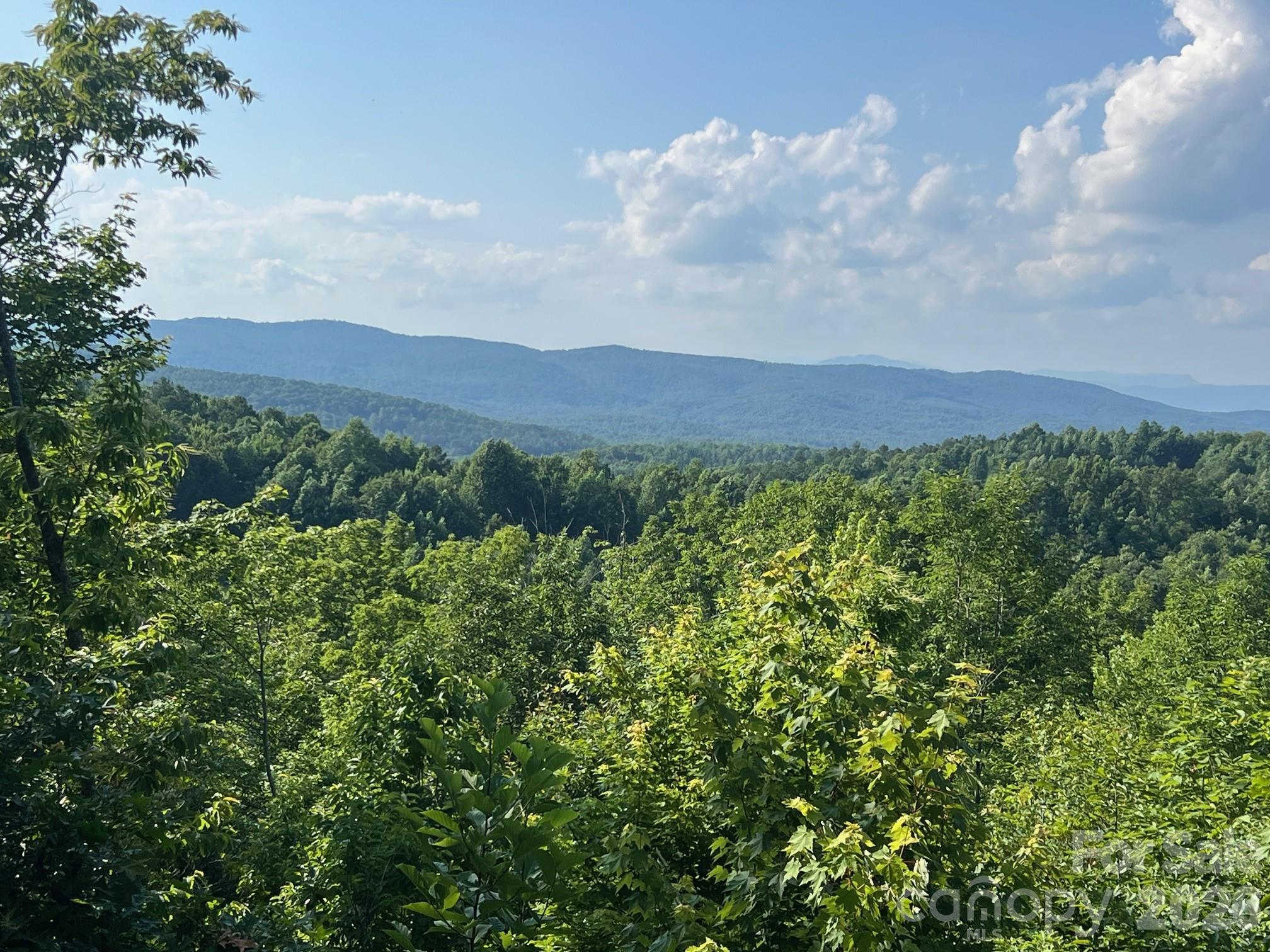 253 Falls Creek Drive