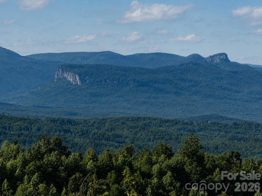 253 FALL CREEK DR, NEBO, NC 28761 - Image 14162cf91dbe9425dfa2ec2e1d922d00/2893135732