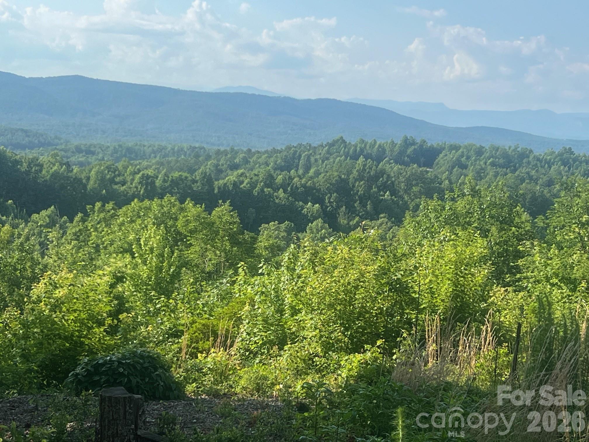 253 Falls Creek Drive